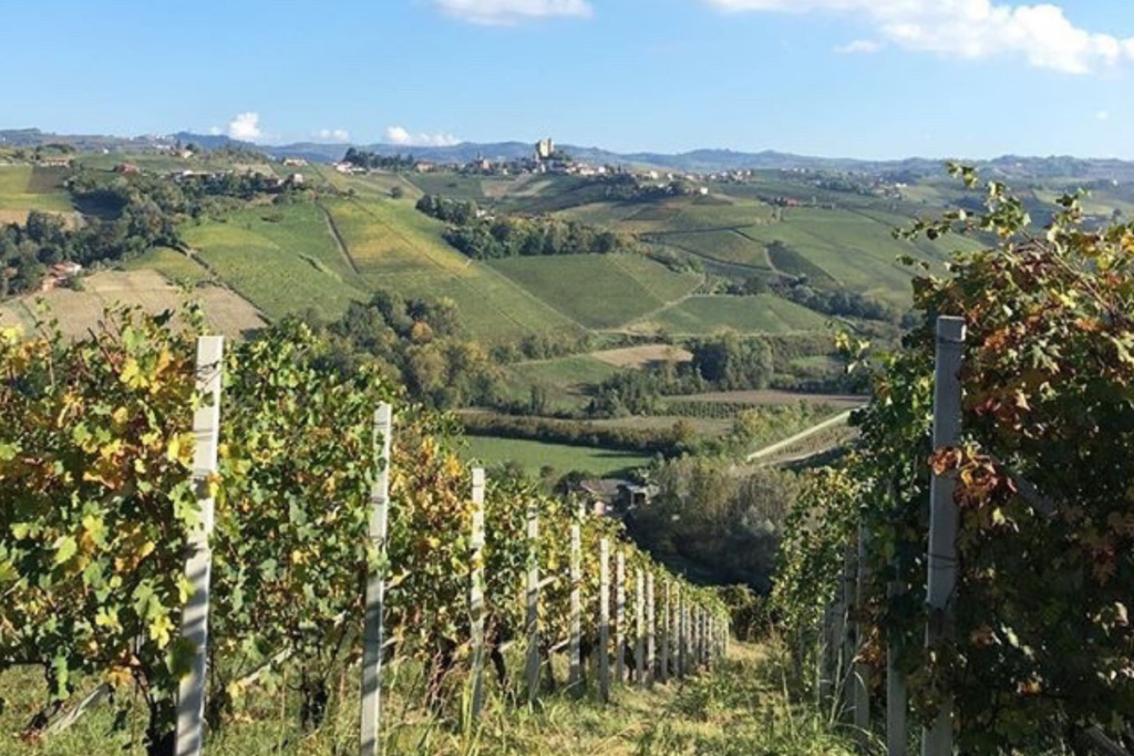 4 Giorni Nelle Langhe E Monferrato: Cosa Vedere E Dove Mangiare - Milan ...