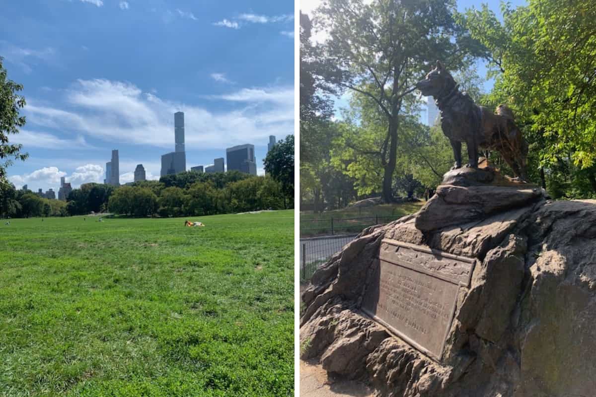 New York spendendo pocoo